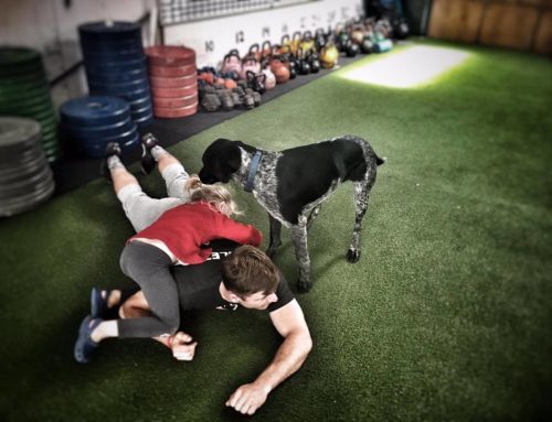 Move Strong Newsletter January